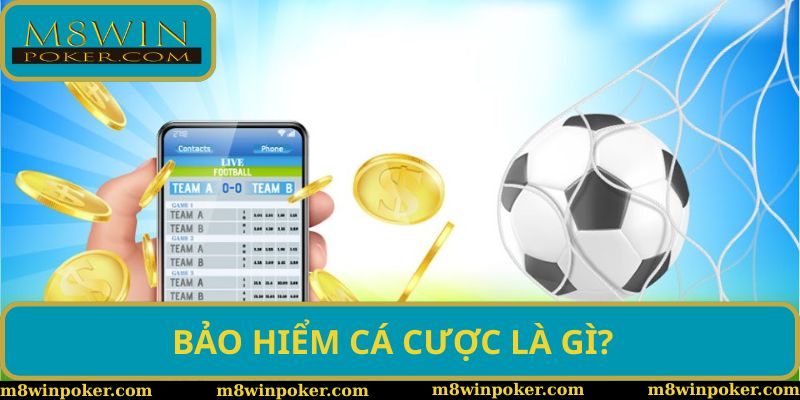 Bảo Hiểm Cá Cược Là Gì? Tấm Khiên Vững Chắc Cho Mọi Hội Viên