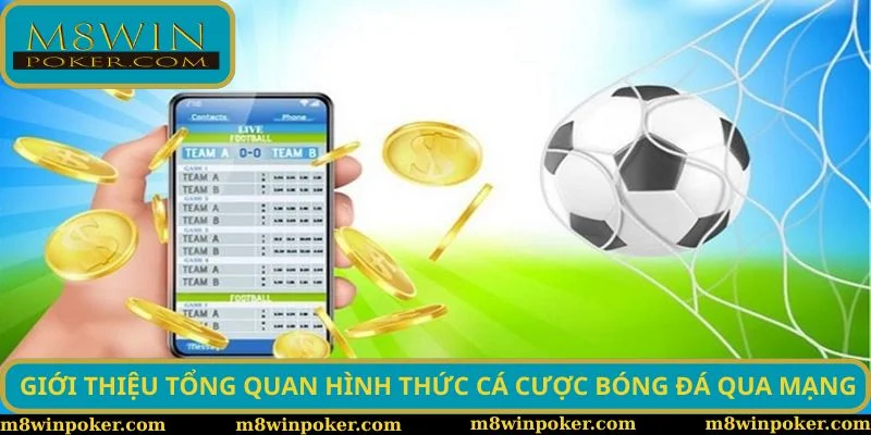 Giới thiệu tổng quan hình thức cá cược bóng đá qua mạng