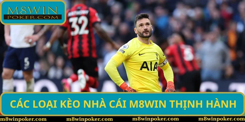 Các loại kèo nhà cái phổ biến tại M8WIN Các loại kèo nhà cái phổ biến tại M8WIN