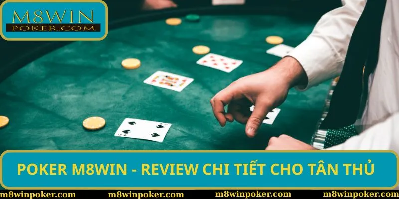Poker M8Win - Review Quy Tắc, Mẹo Đặt Cược Cho Tân Binh