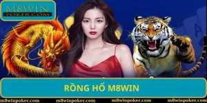 Rồng Hổ M8WIN - Bật mí cách chơi từ A - Z dành cho người mới